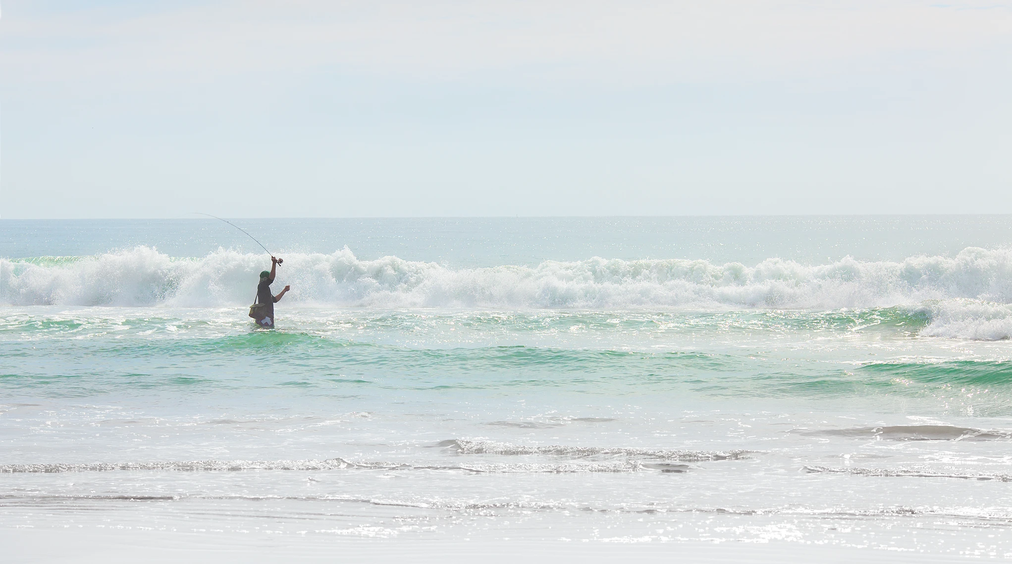 700 Ss Branding Imagery