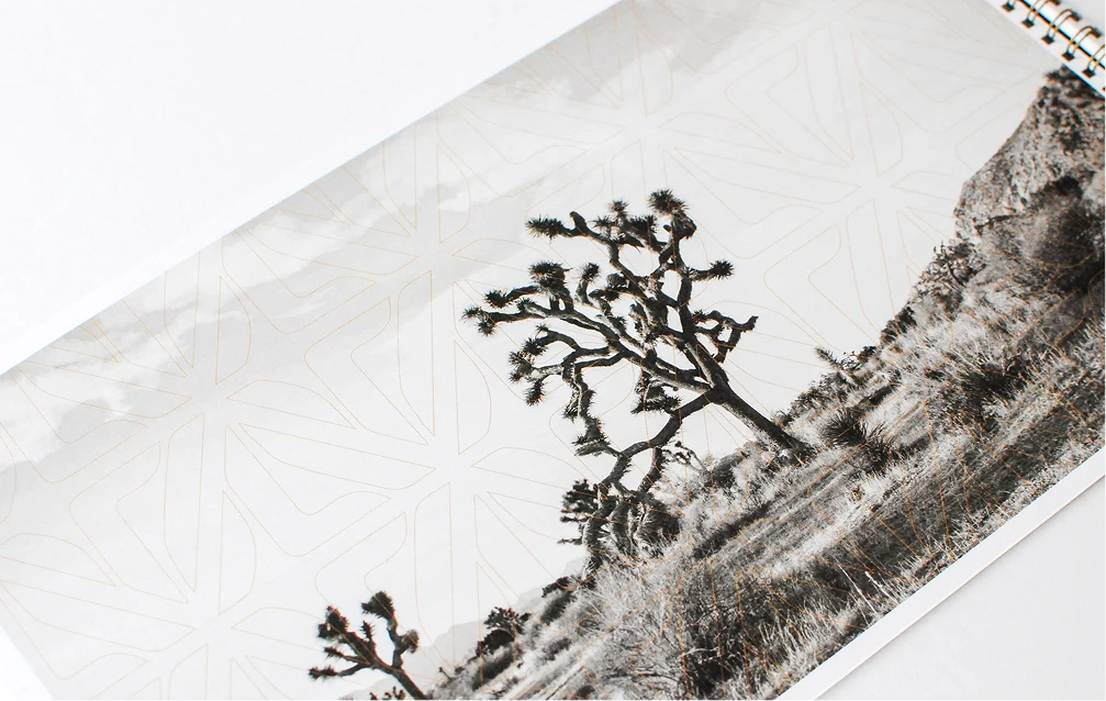 Land Advisors Brand Card