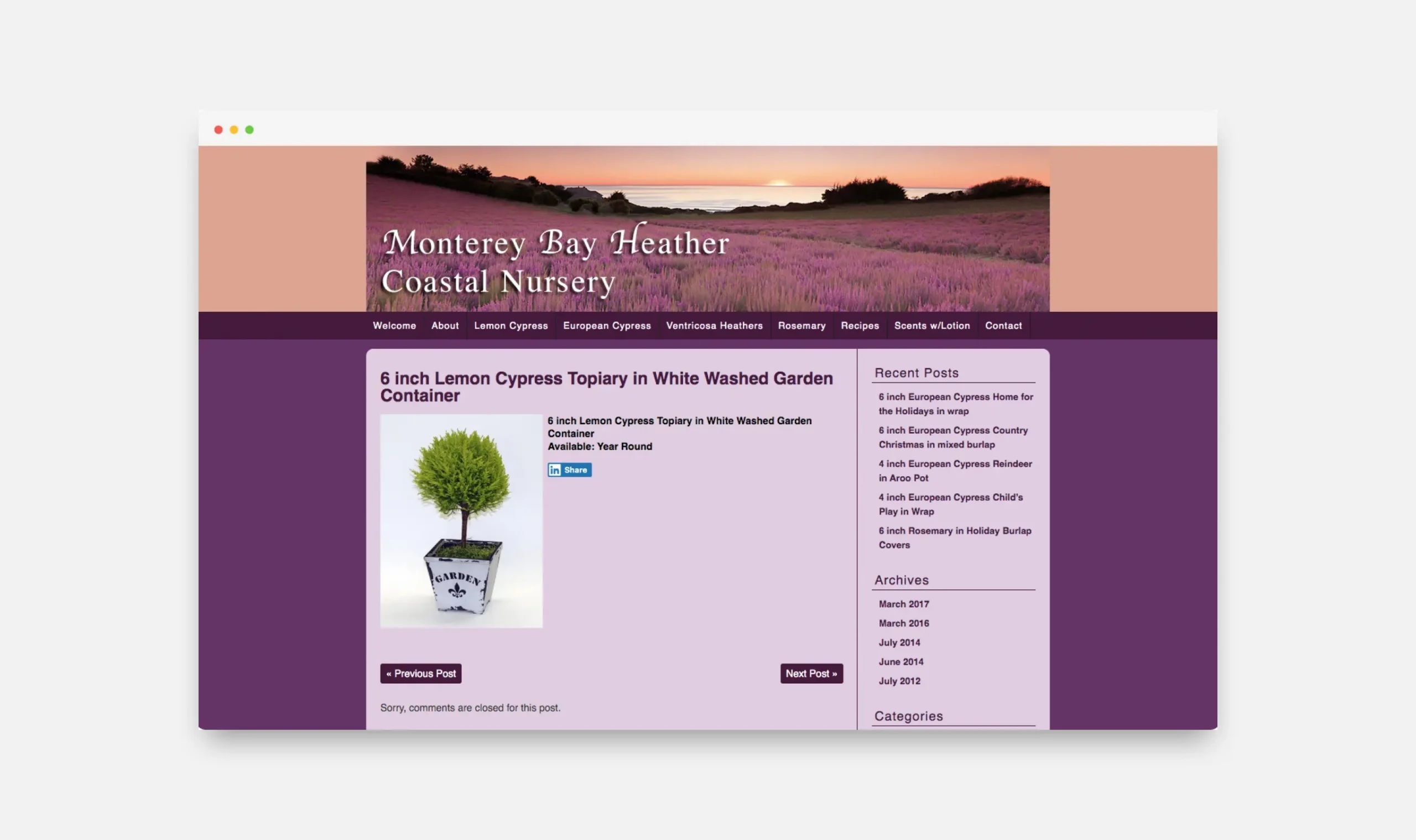 Coastal Nursery Old Website 2