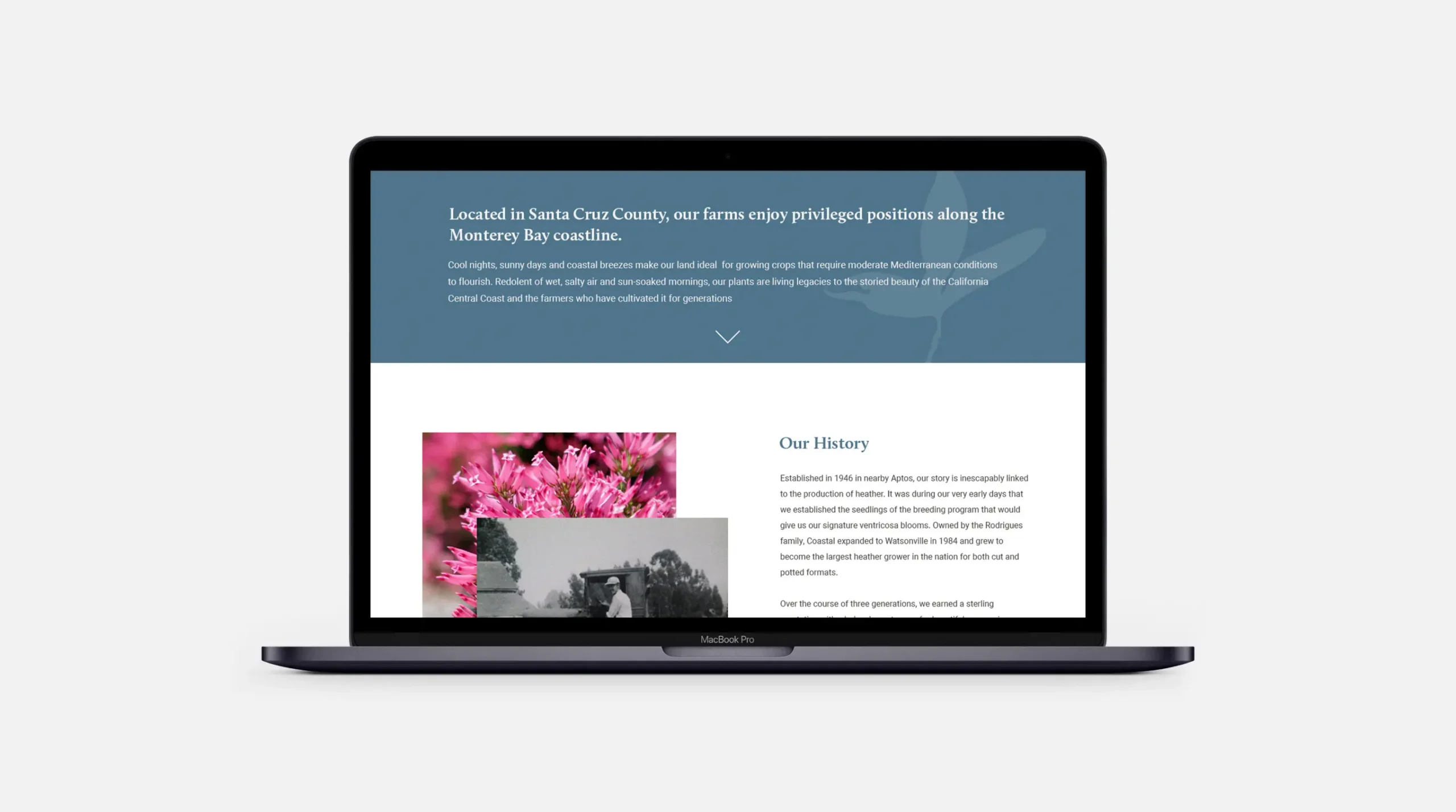 Coastal Nursery About Page design on laptop