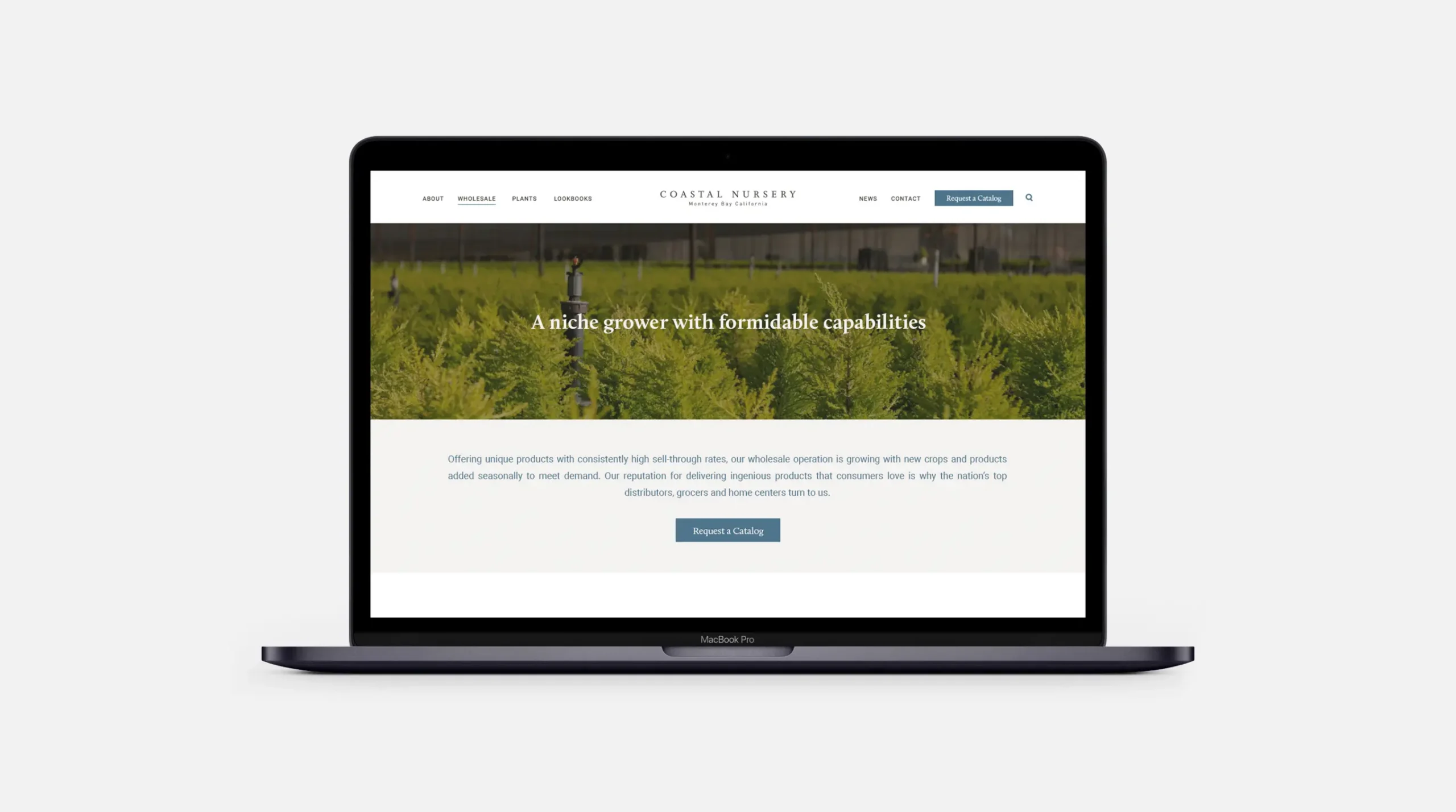 Coastal Nursery Website Wholesale page on laptop