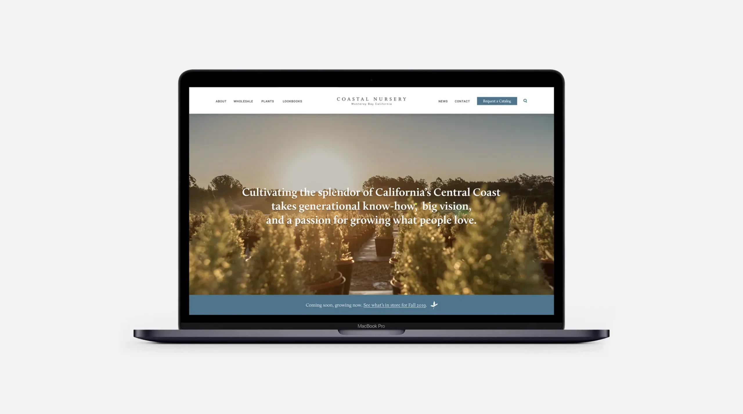 Coastal Nursery Website Homepage hero section on a laptop