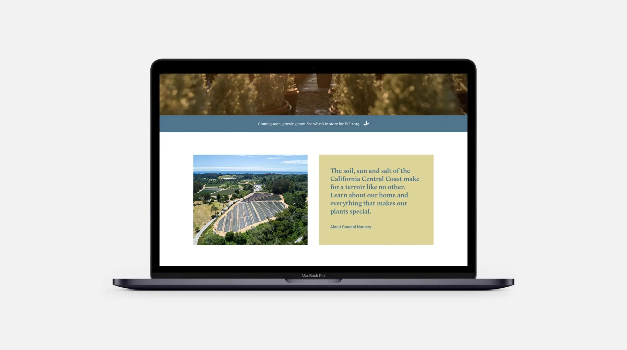 Coastal Nursery Website Homepage mid section on a laptop
