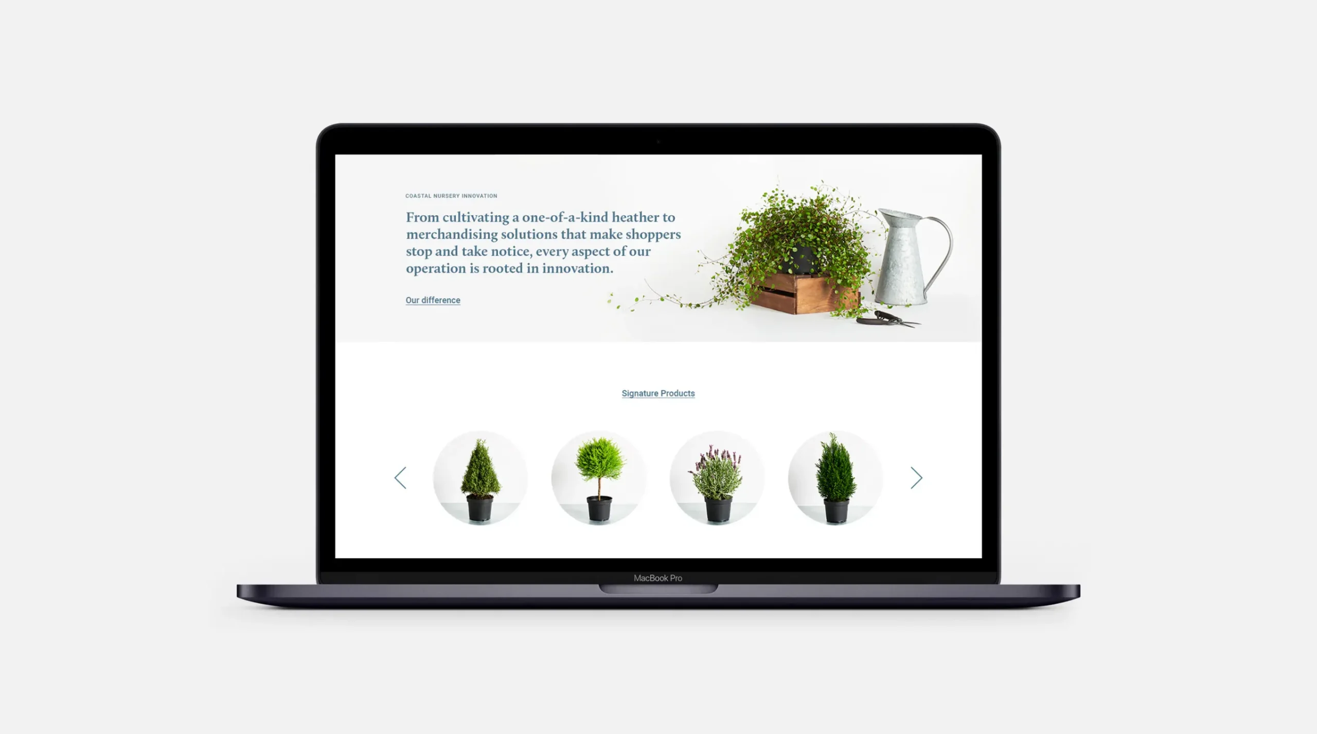 Coastal Nursery Website Homepage lower section on a laptop