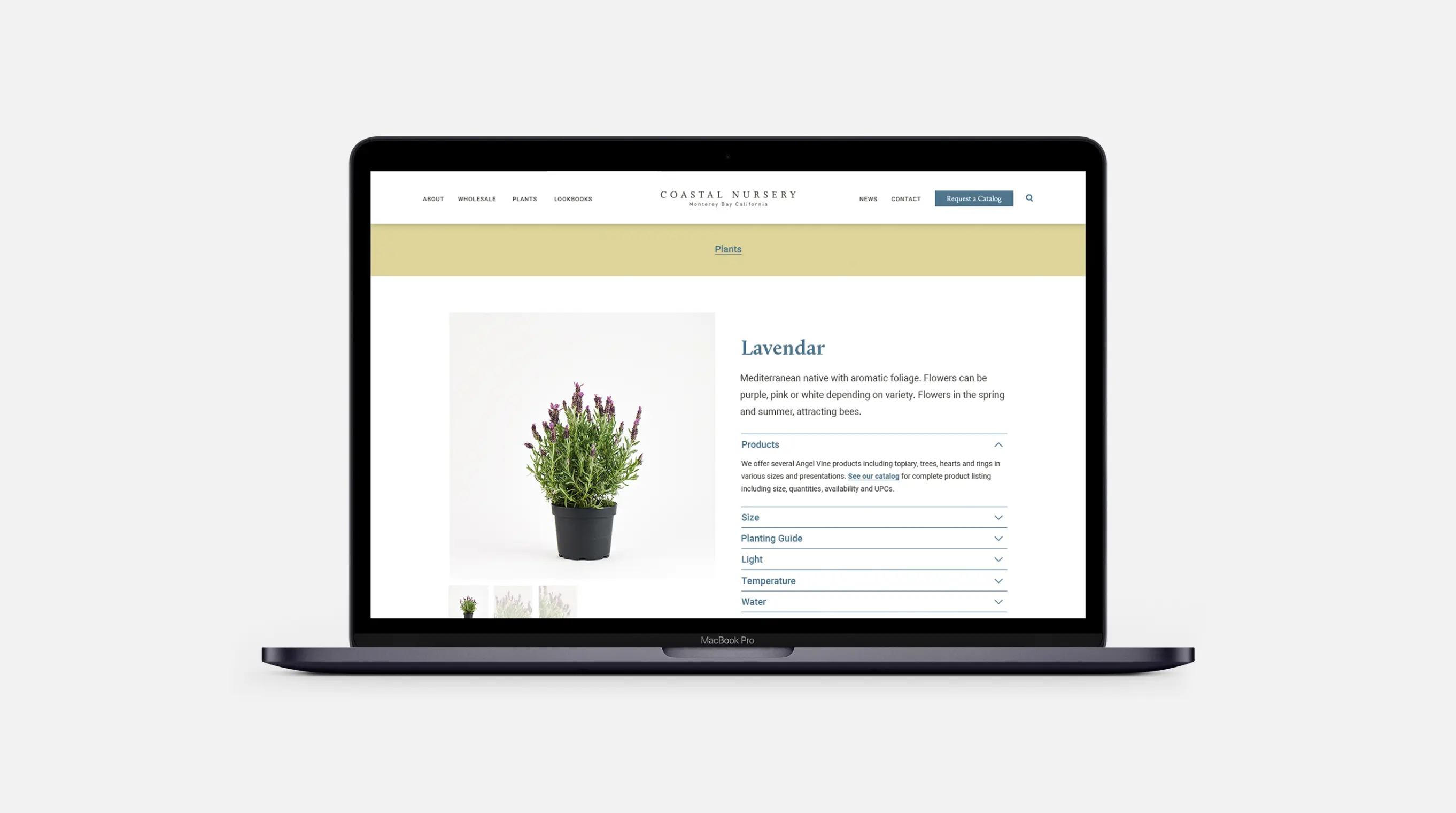 Coastal Nursery Plant description page on a laptop