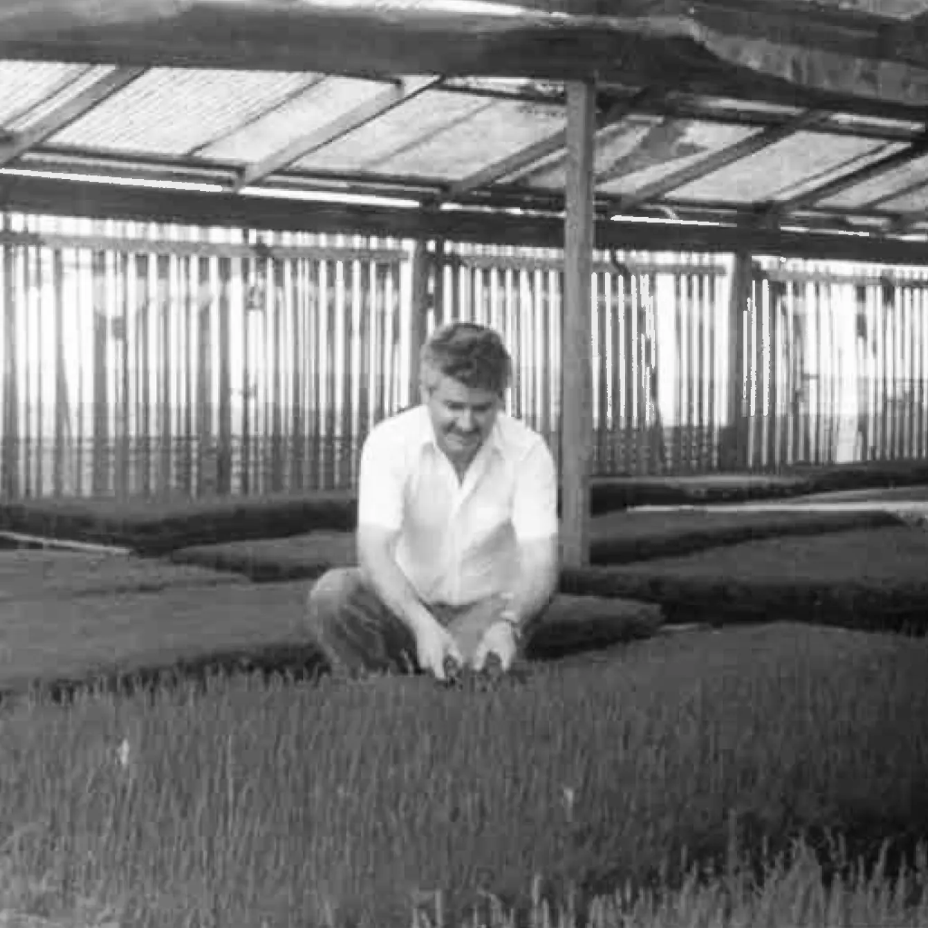 Coastal Nursery Archive Photo of man inspecting flowers
