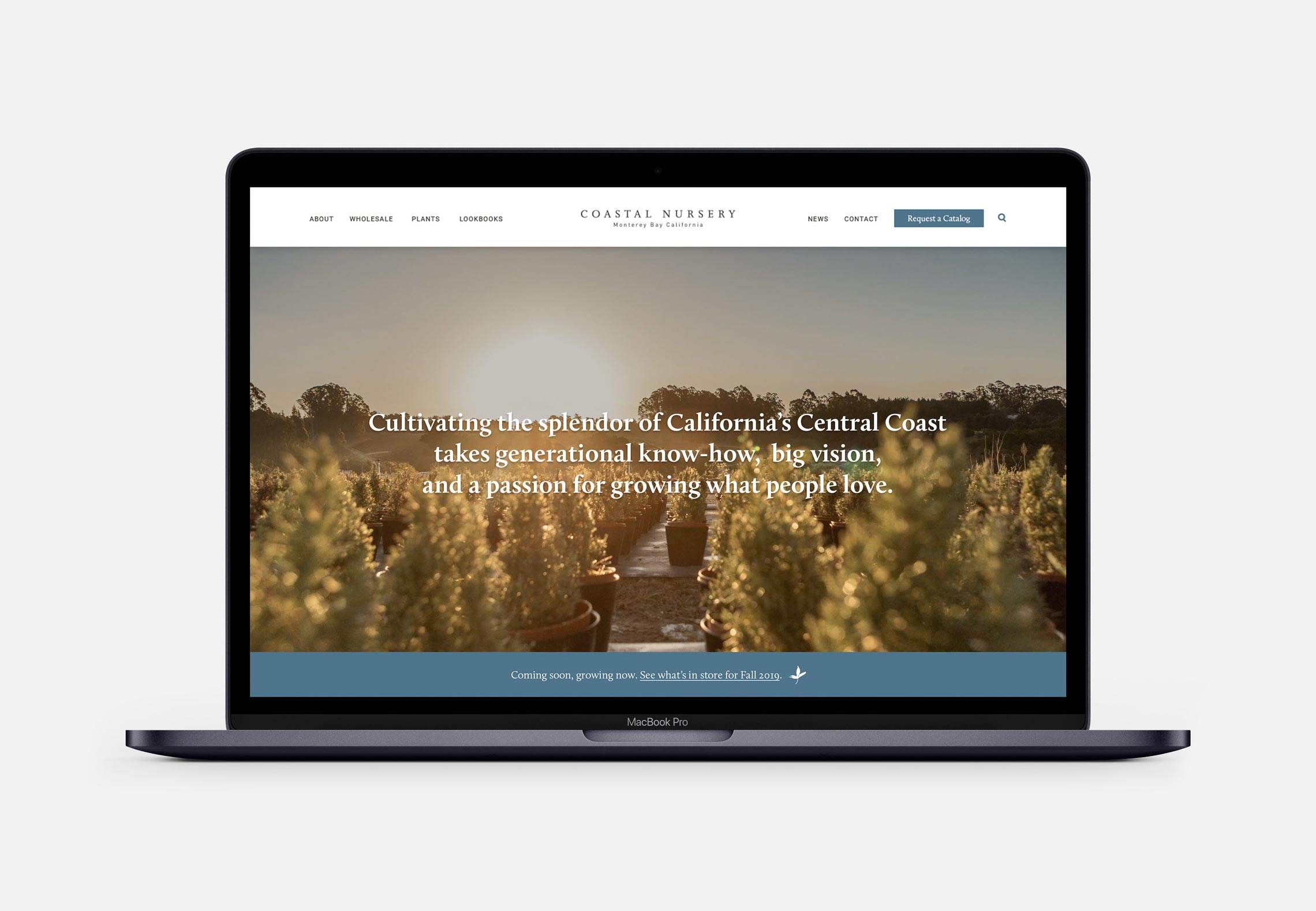 Coastal Nursery Website Homepage on Macbook Pro