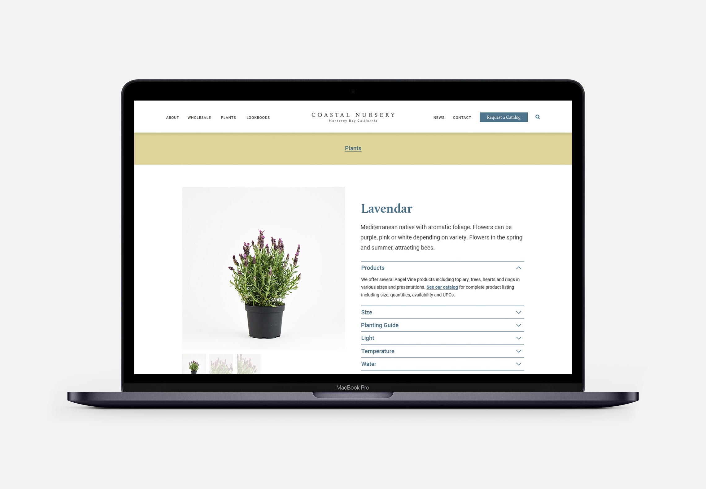 Coastal Nursery Website Plant page on Macbook Pro