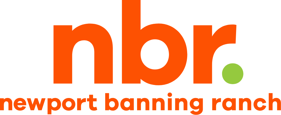 Nbr Logo