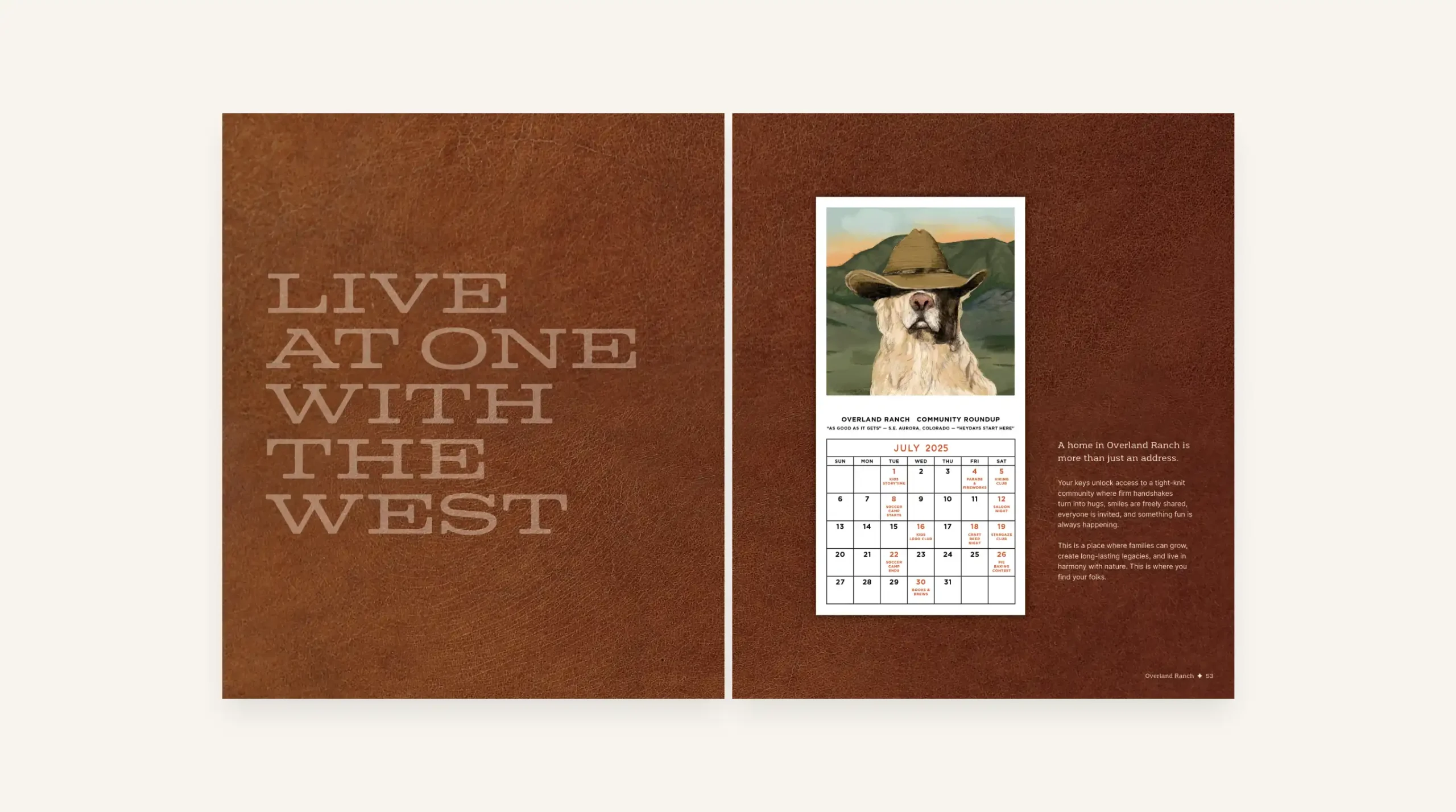 Overland Ranch Vision Book 8