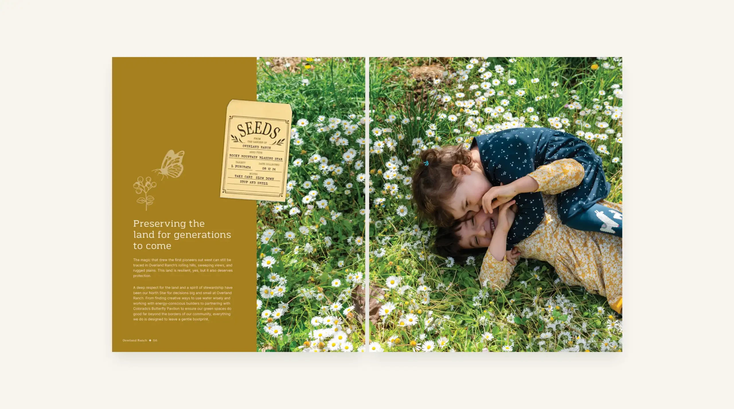 Overland Ranch Vision Book 9