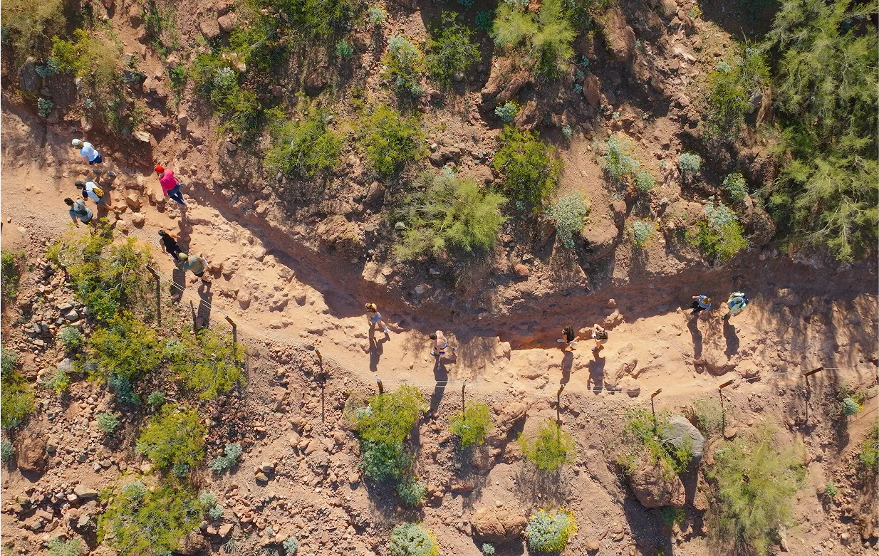Tjh Living Local Aerial Hiking