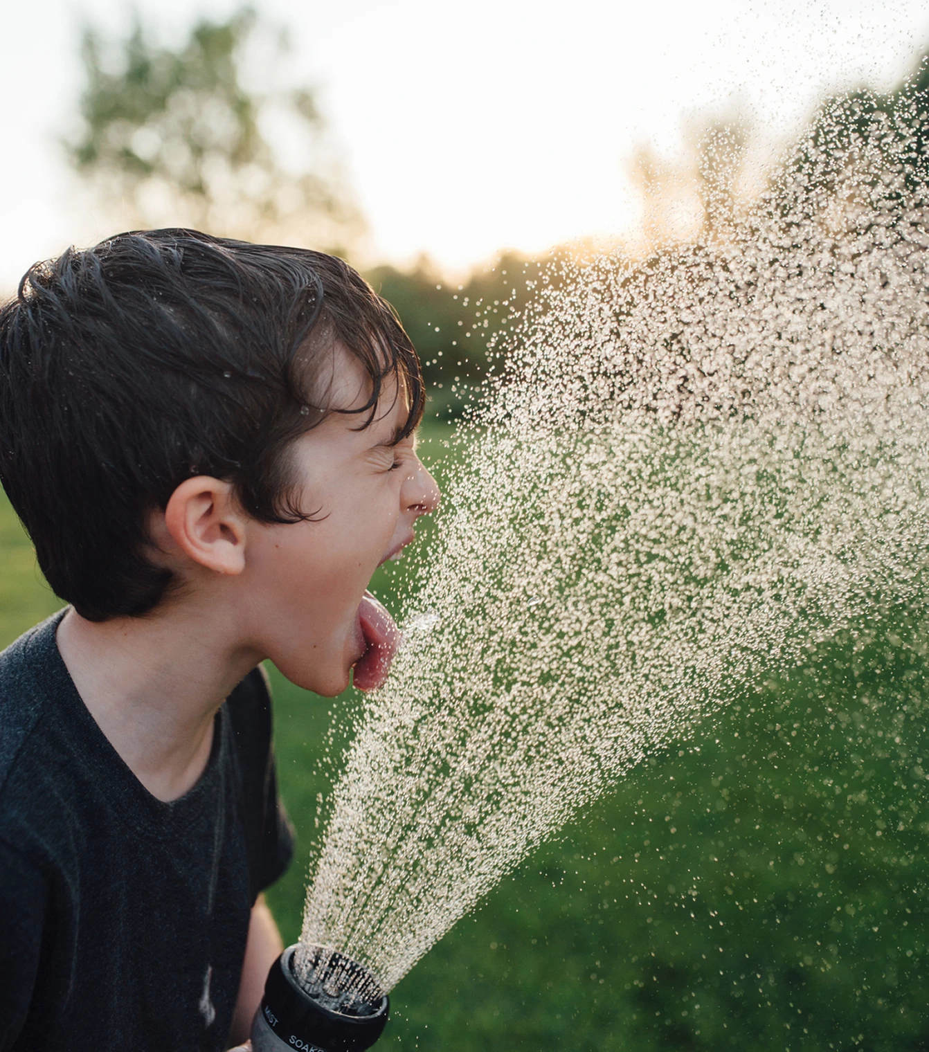 Seccua Drinking From Hose