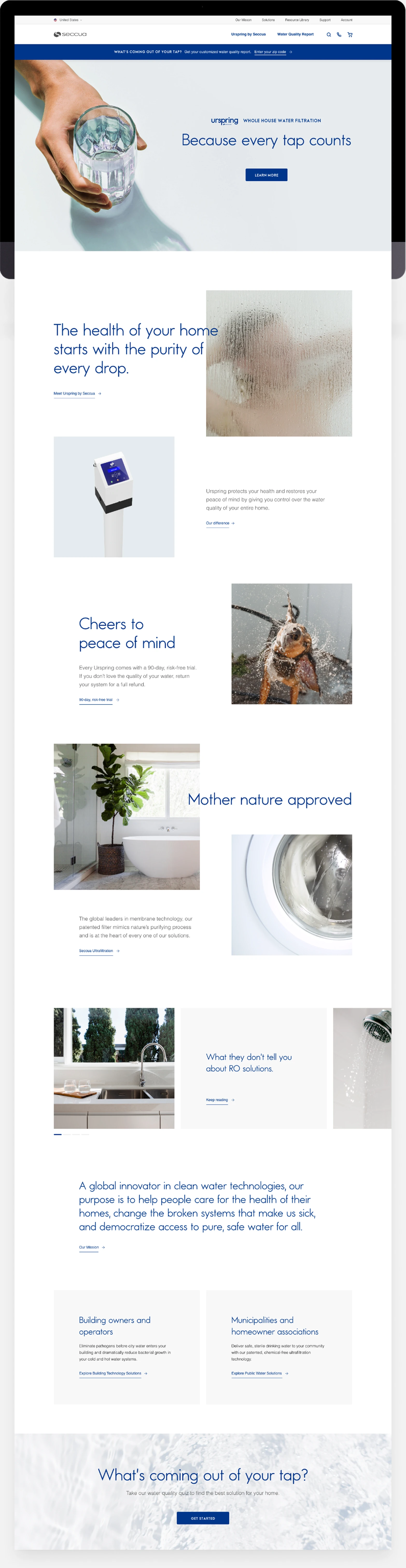 Seccua Website Design, Desktop