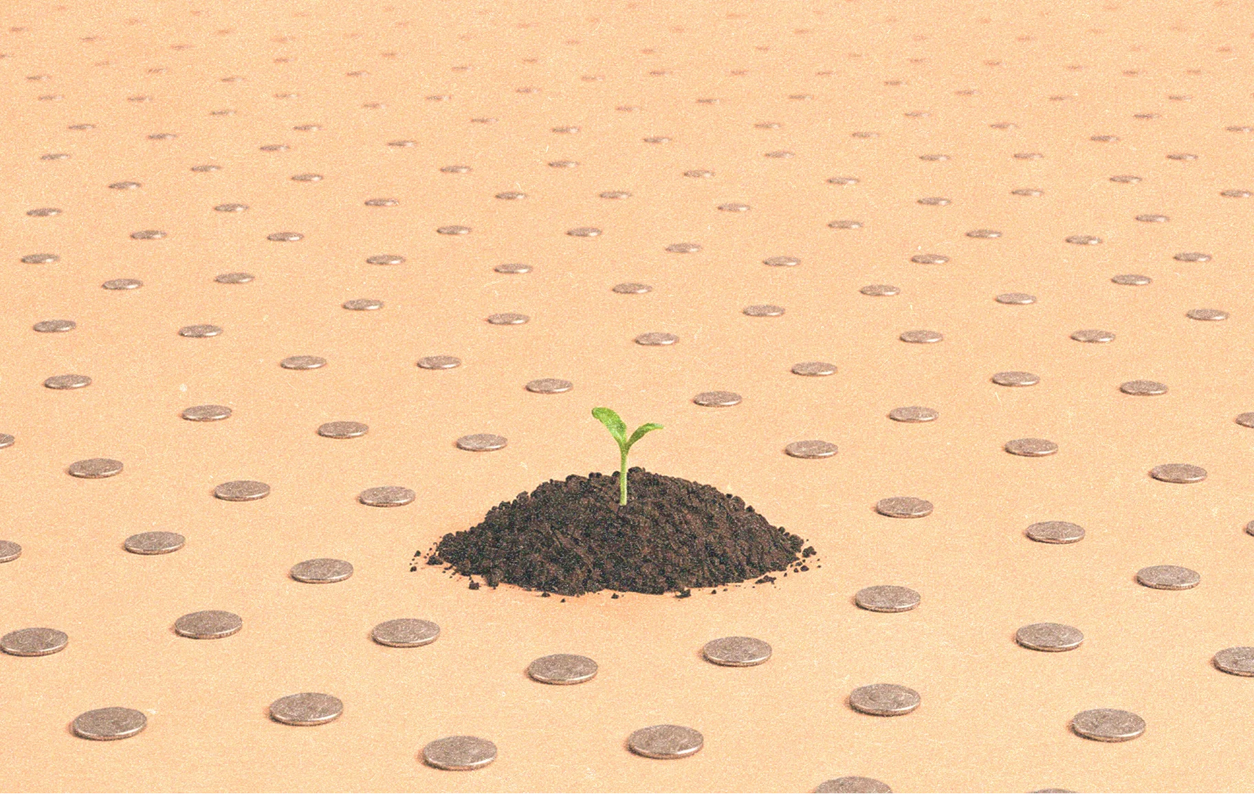 Plant Growing Coin Field